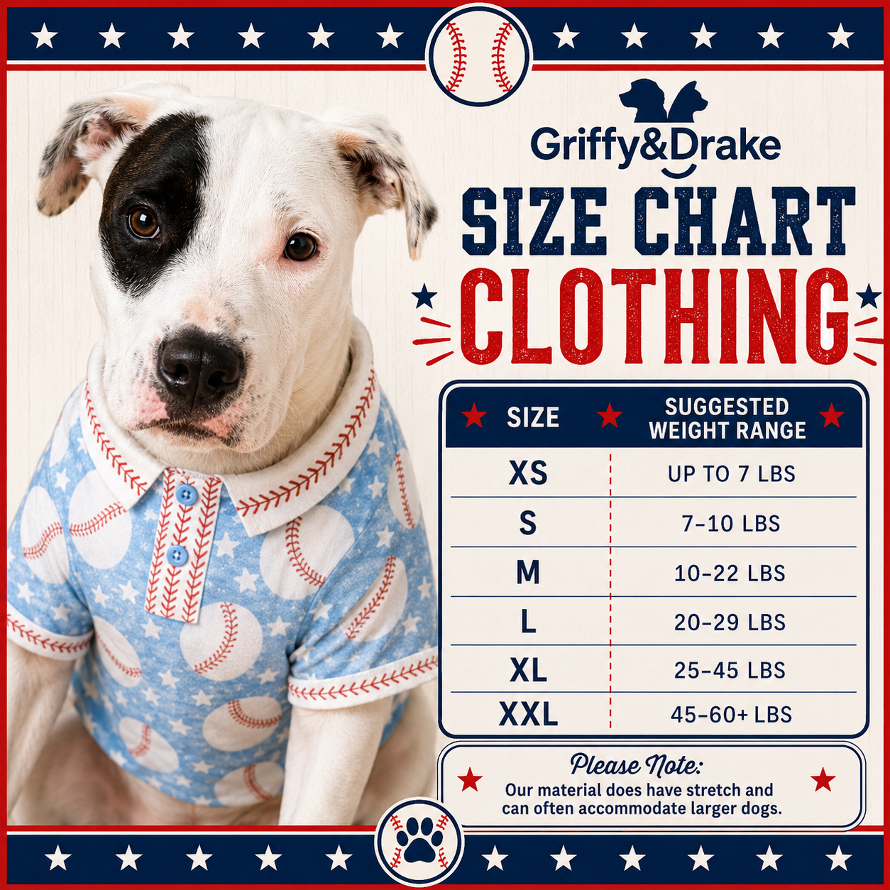 Teacher's Pet Ruffle Shirt