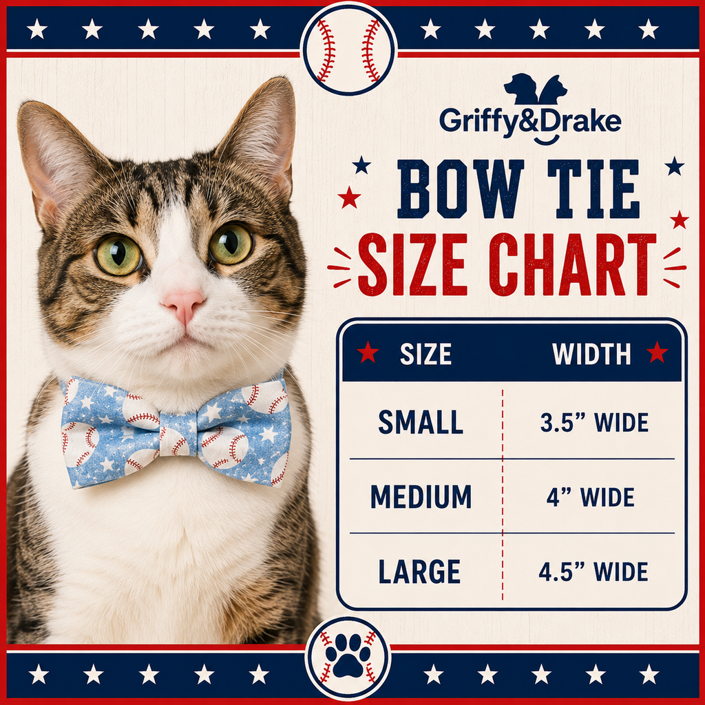 Teacher's Pet Bow Tie