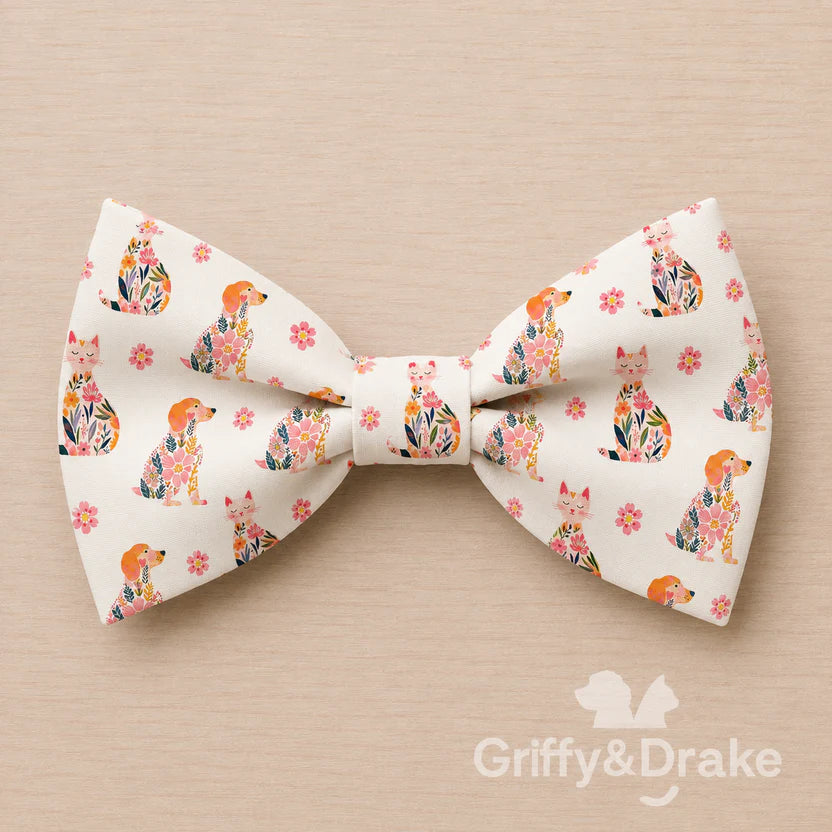 Bow Tie